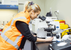 Mainland-81 Mainland-81